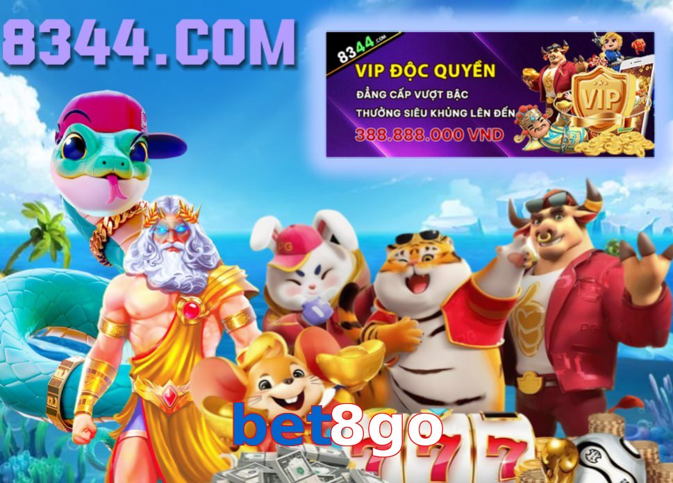 bet8go